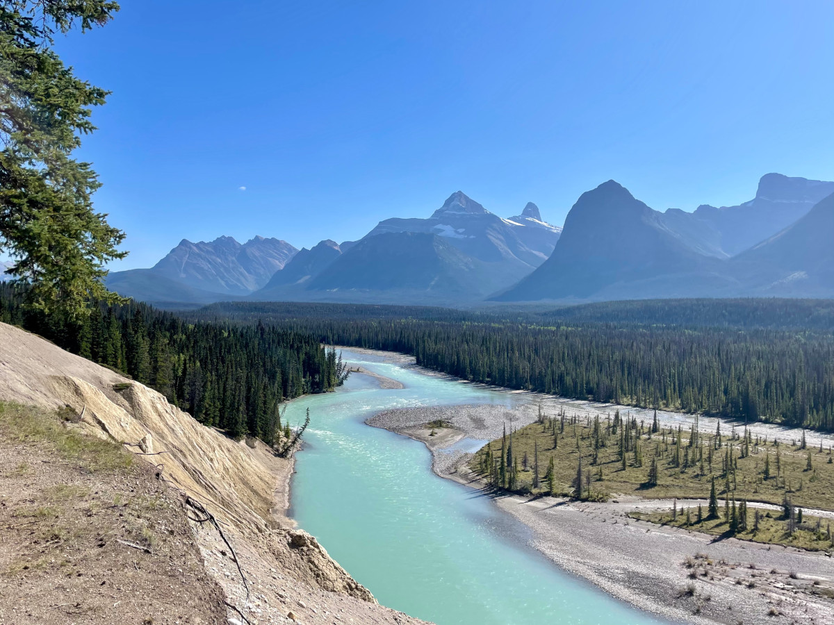 Anthabasca River przy Icefields Parkway