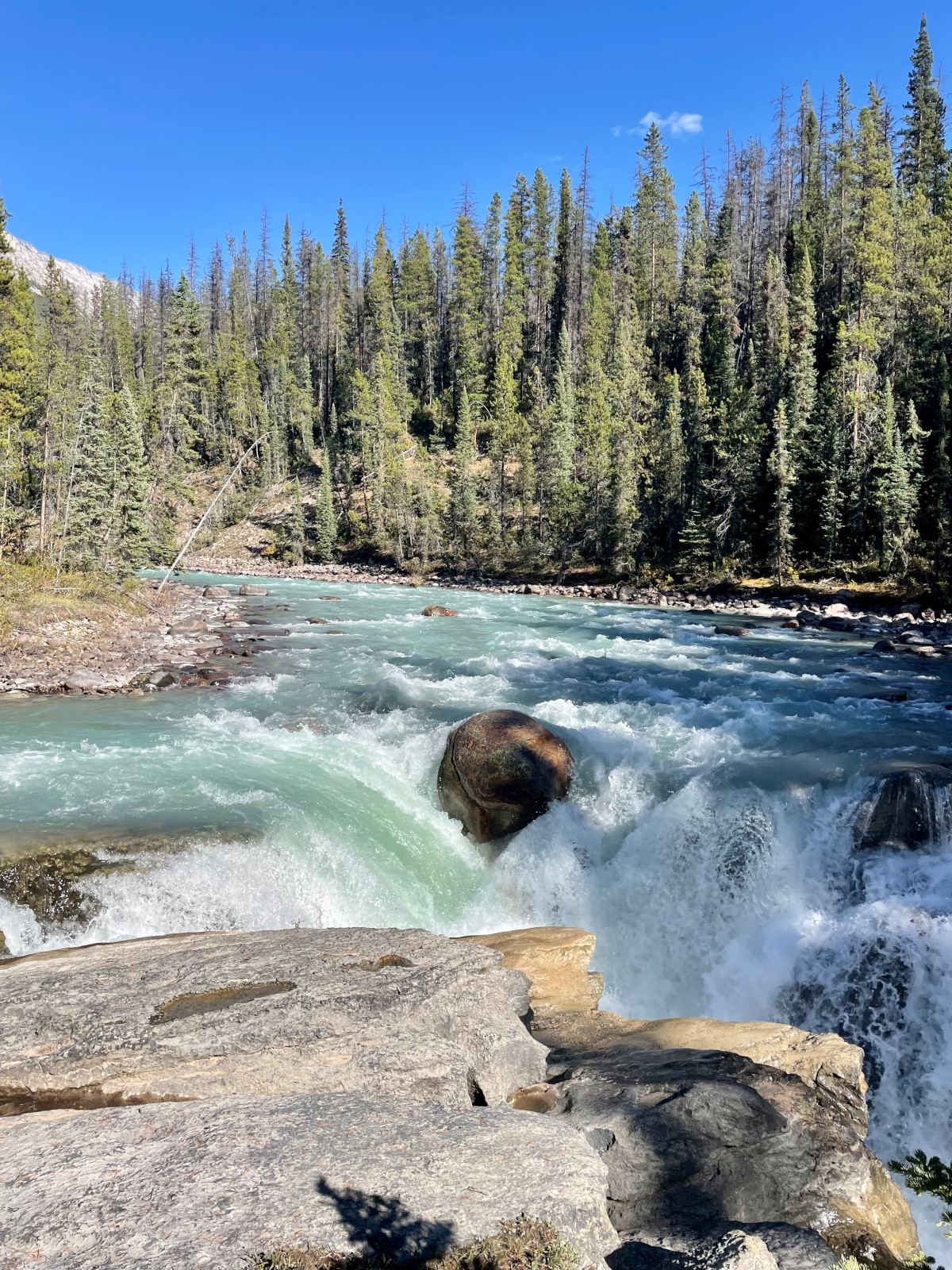 Sunwapta Falls